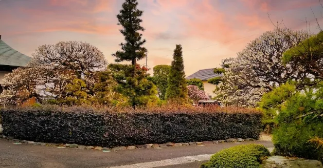 蓮花院庭園 - 四季折々の花や木々が楽しめる瞑想の場